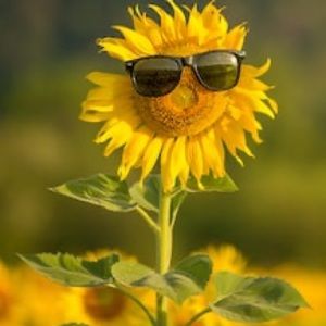 ⭐️OMG! 3/$15 Sale! WOW!⭐️